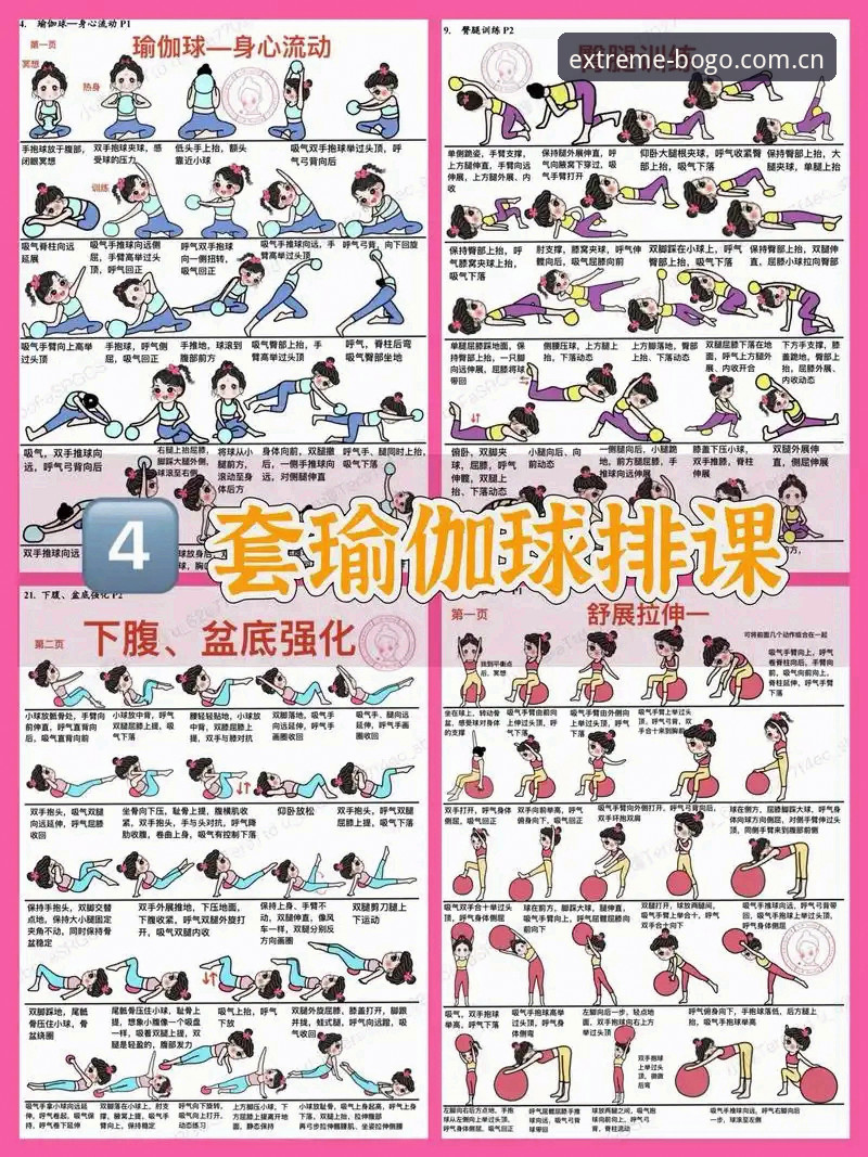 博狗体育怎么玩最新版：从入门到精通的完整指南